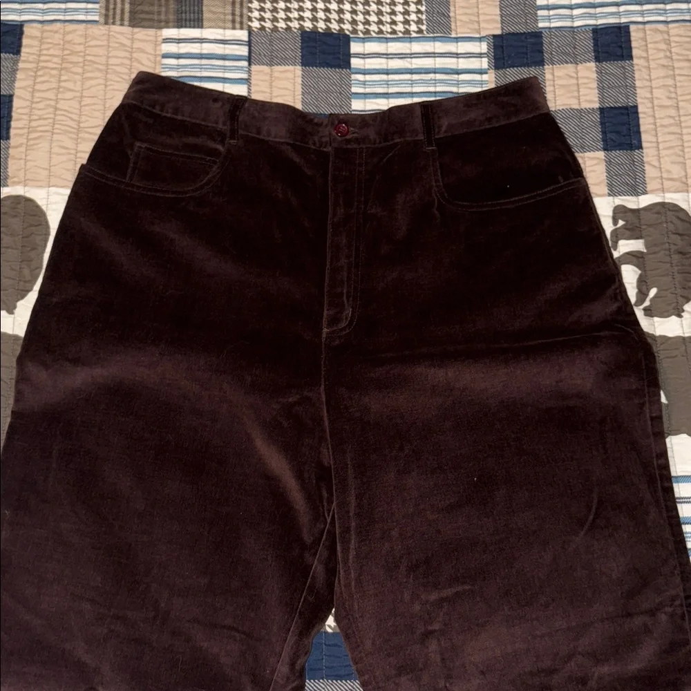 NWT! Talbots Chocolate Brown Velour Pants 16